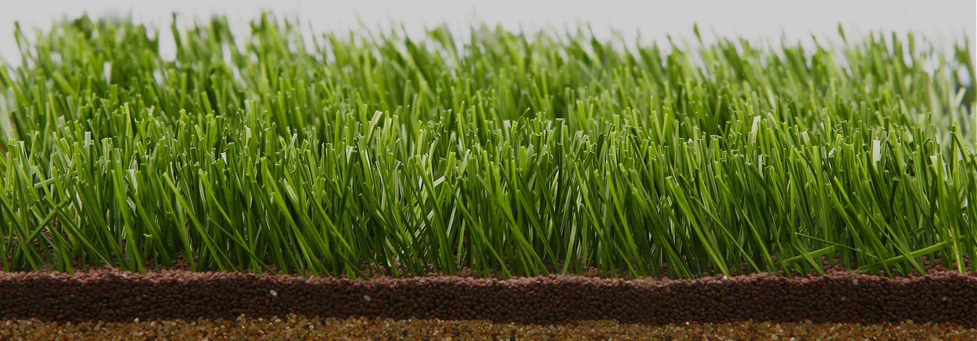 sewa-rumput