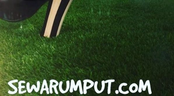 sewa-rumput