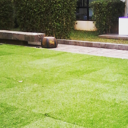 sewa-rumput-001