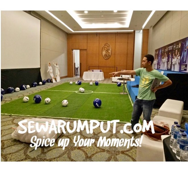 sewa-rumput-jabodetabek-3
