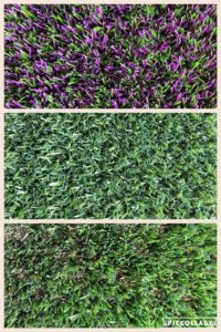 sewa-rumput-warna