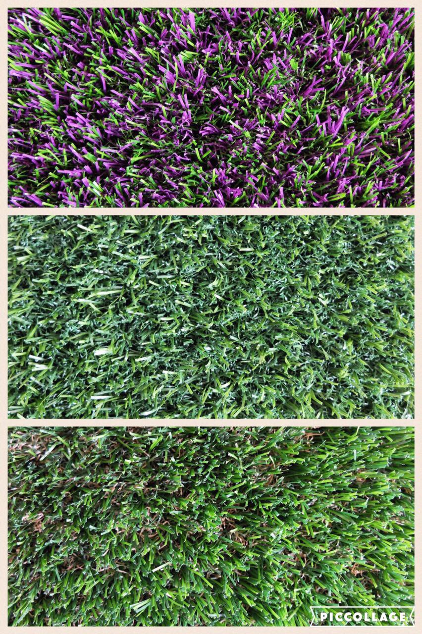sewa-rumput-warna