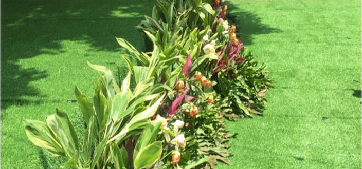 jual-rumput-sintetis