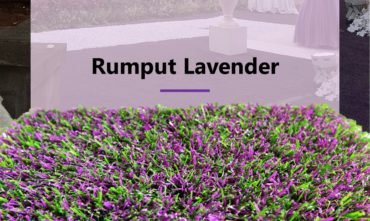 Jual Rumput Sintetis Lavender